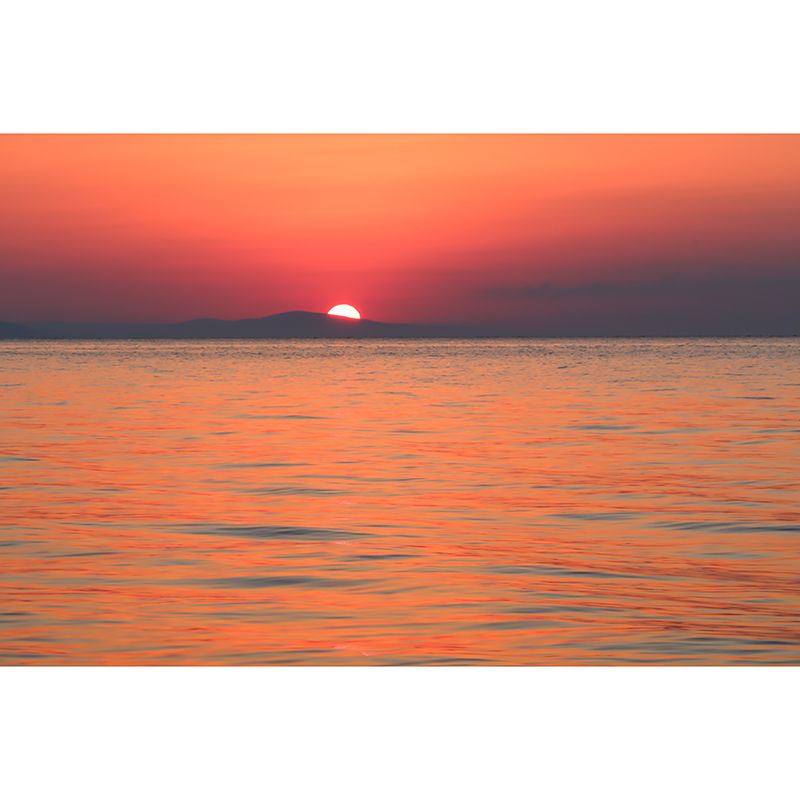 Sunrise And Sunset Wall Mural in Orange Living Room Wall Decor, Moisture Resistant