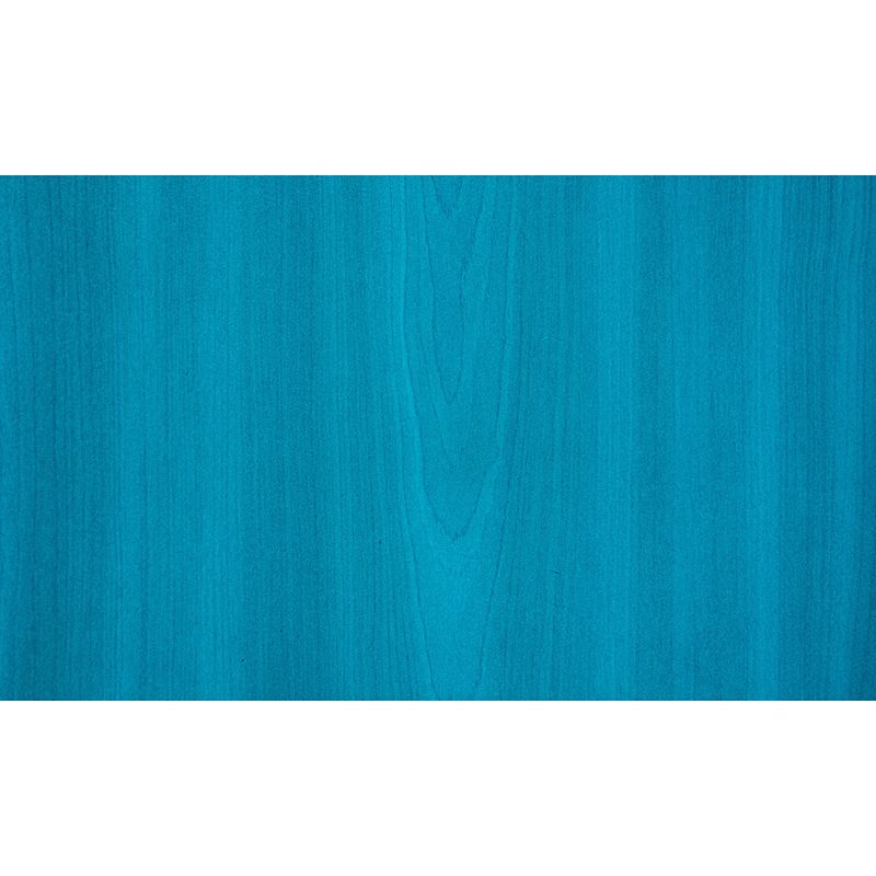 Wood Grain Wall Murals Contemporary Photography Style Wall Art for Bedroom