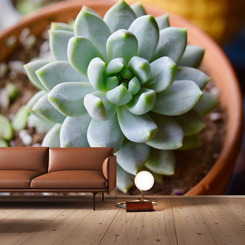 Tropical Plants Mural House Interior Wall Art, Made to Measure, Waterproofing