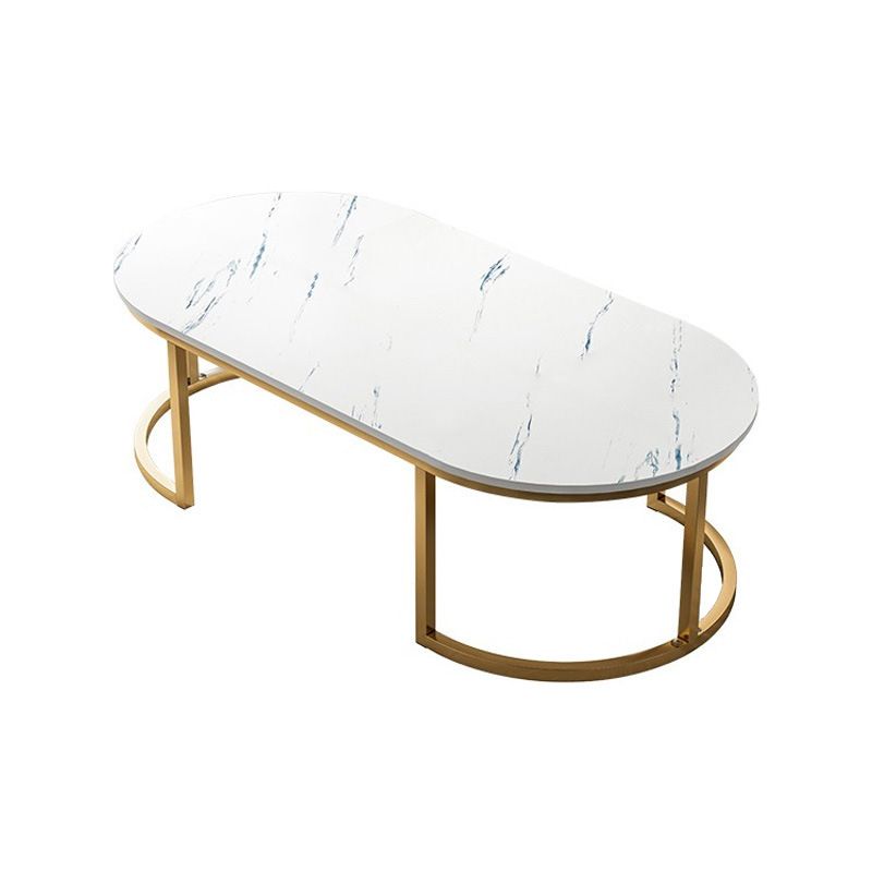 Glam Style Oval Marble Coffee Table with Iron Base Coffee Cocktail Table
