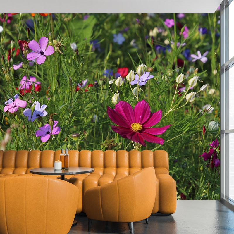 Multi Color Flower Removable Mural Wallpaper Stain Resistant Decor for Bedroom