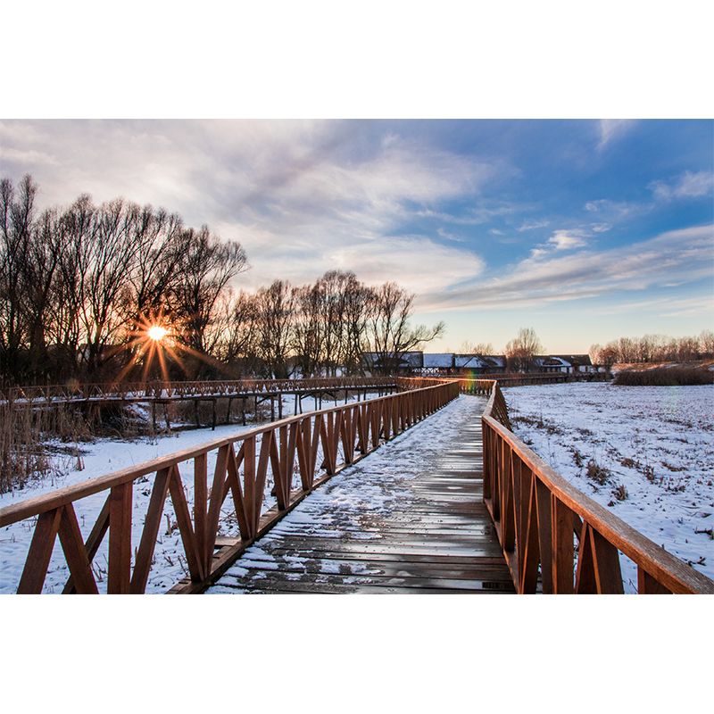 Environment Friendly Resistant Mural Wallpaper Outdoor Path Sleeping Room Wall Mural