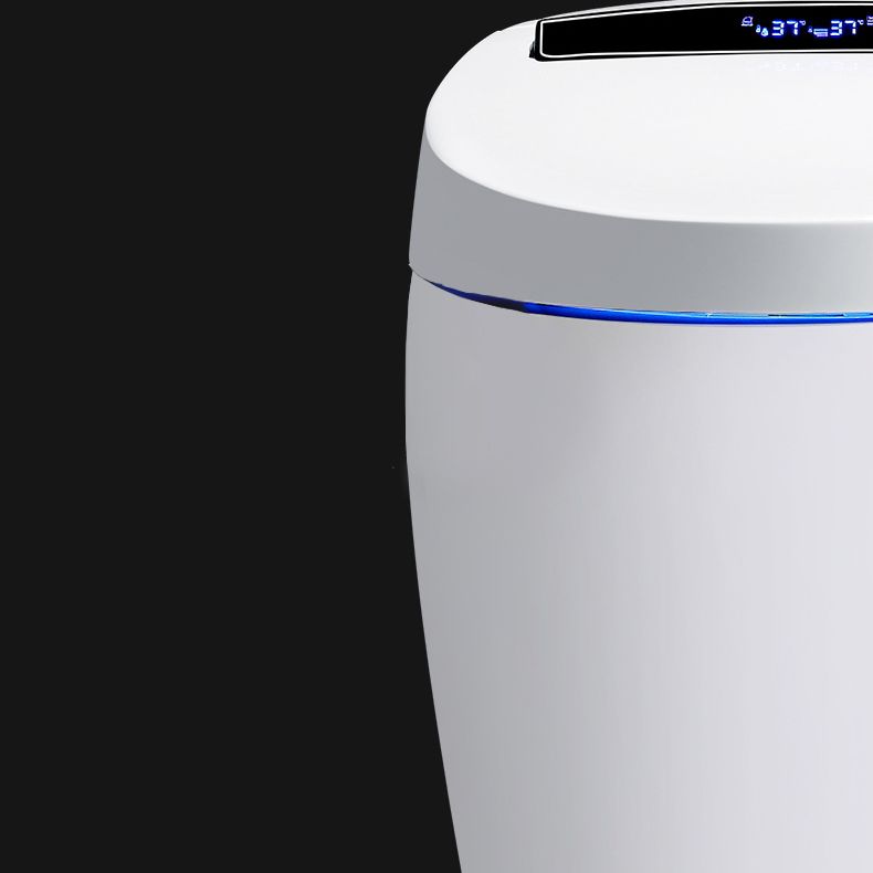 Modern 1-Piece Bidet Toilet Floor Mounted Toilet Bowl for Washroom