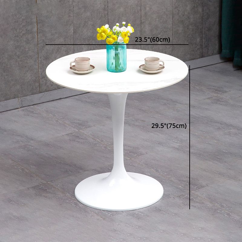 Modern Sintered Stone Dining Room Set 1/2/3/4/5 Pieces Dining Set /Separate Items