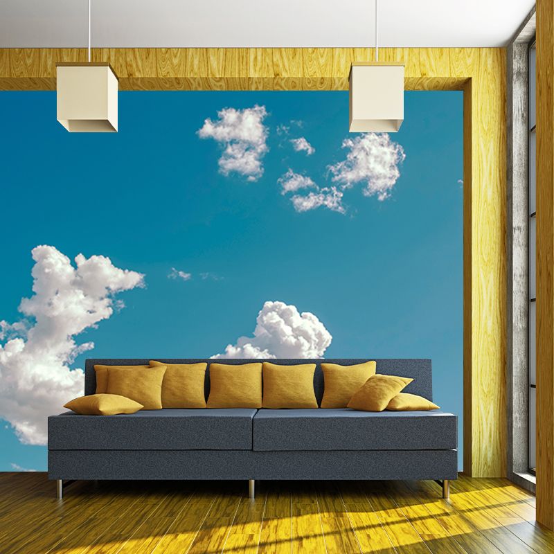 Photography Stain Resistant Mural Wallpaper Beautiful Sky Indoor Wall Mural