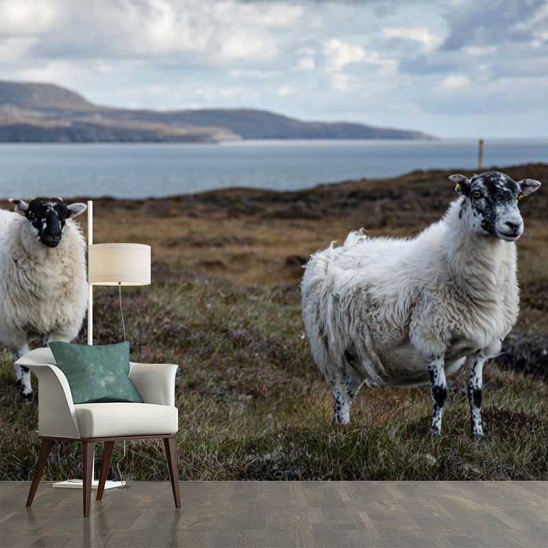 Sheep Animal Wallpaper Mural Contemporary Style Wall Art for Living Room