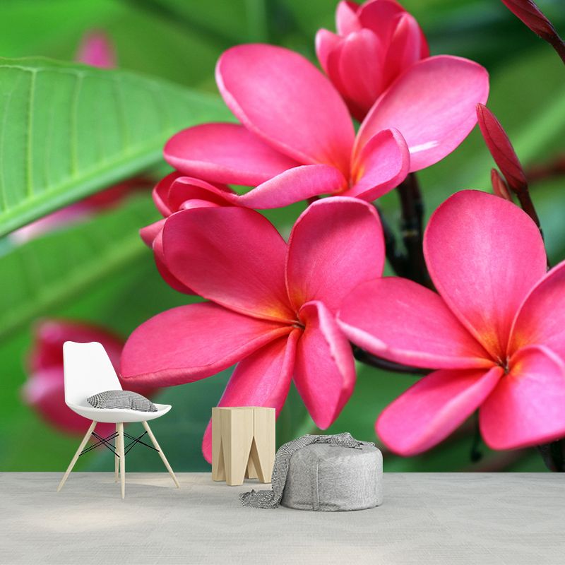 Customized Plumerias Flower Wall Mural Horizontal Photography for Sleeping Room Decoration