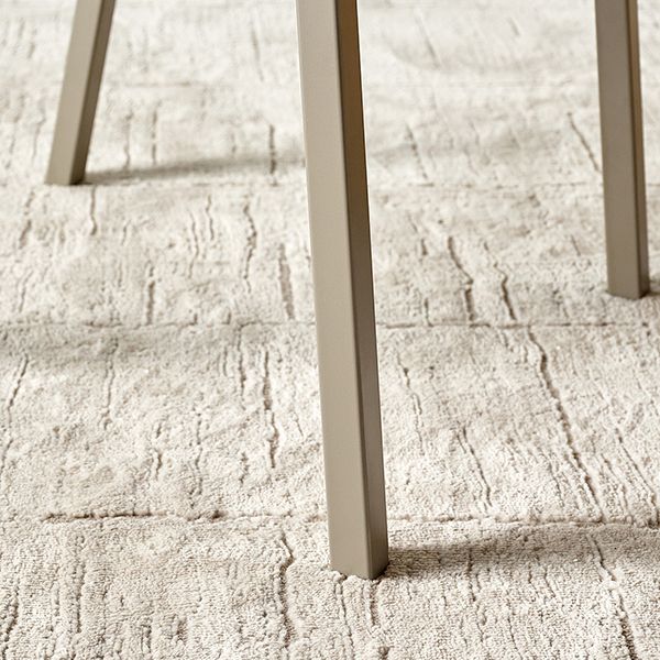 Modern Style Chairs Dining Chairs with Metal Legs for Kitchen