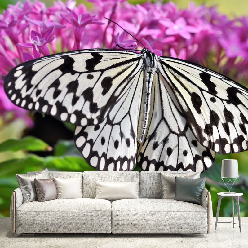 Butterfly Animal Wallpaper Mural Contemporary Style Wall Art for Living Room