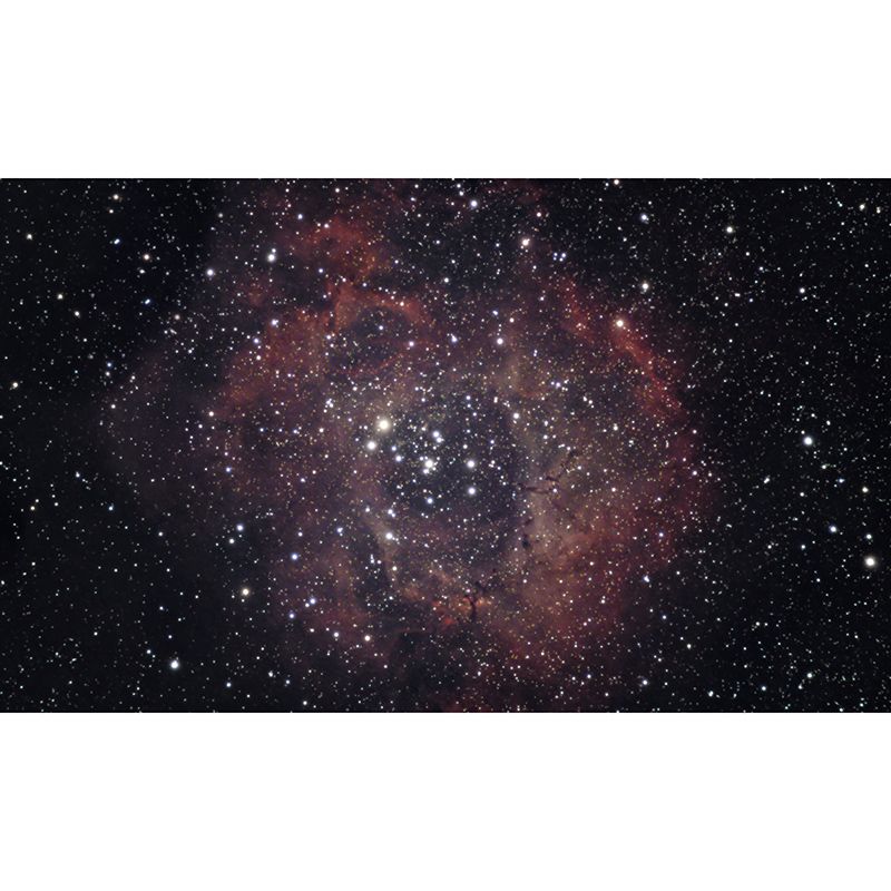 Stars Wall Mural Modern Dreamy Universe Wall Decor for Reading Room Bedroom