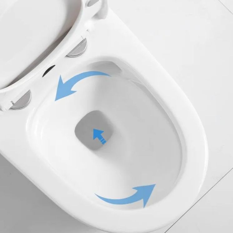 Modern Ceramic Toilet Floor Mounted One Piece Skirted Urine Toilet with Toilet Seat