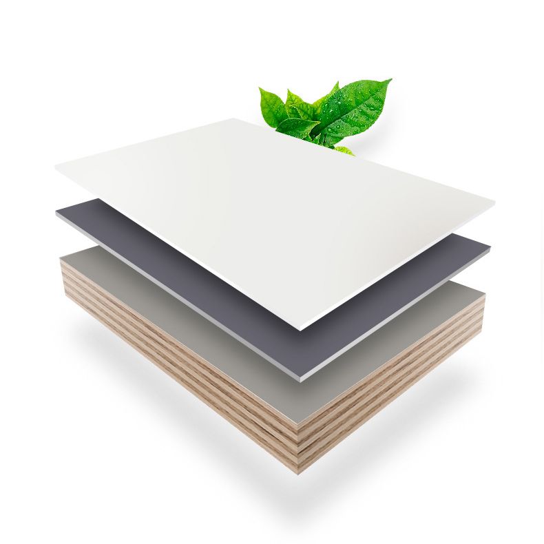 Rectangle Bathroom Vanity Wall-Mounted Mirror Wood Frame Modern Vanity with Doors