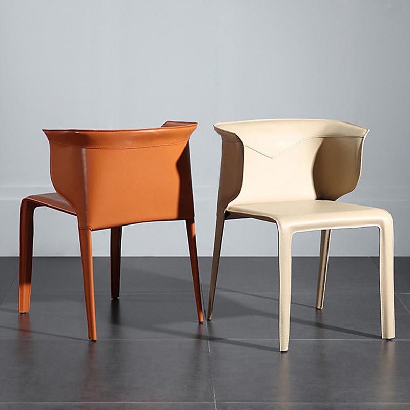 Metal Contemporary Indoor Chair with Leather Legs Matte Finish Side Chair for Dining Room