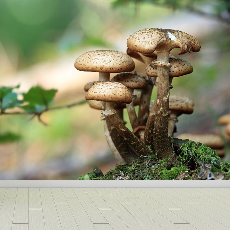 Mushroom Plant Modern Style Mural Environment Friendly Wallpaper for Home Decor