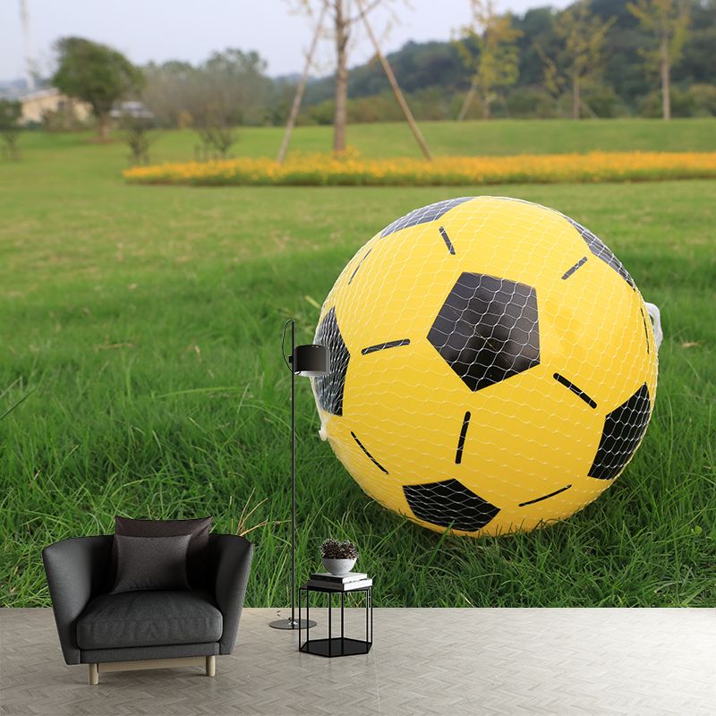 Football Wall Murals Contemporary Photography Style Wall Art for Bedroom