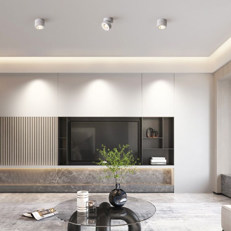 Modern Creative LED Rotatable Ceiling Light Aluminium Cylindrical Flush Mount with Clear Glass Shade