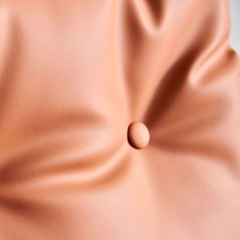 Modern Home Solid Back Chair Leather Matte Finish Dining Chair