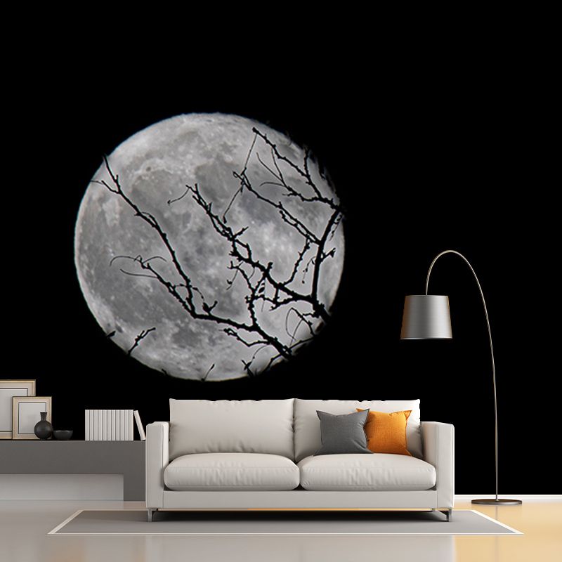 Cosmos Stain Resistant Wall Mural Washable Wallpaper Sitting Room Wall Mural