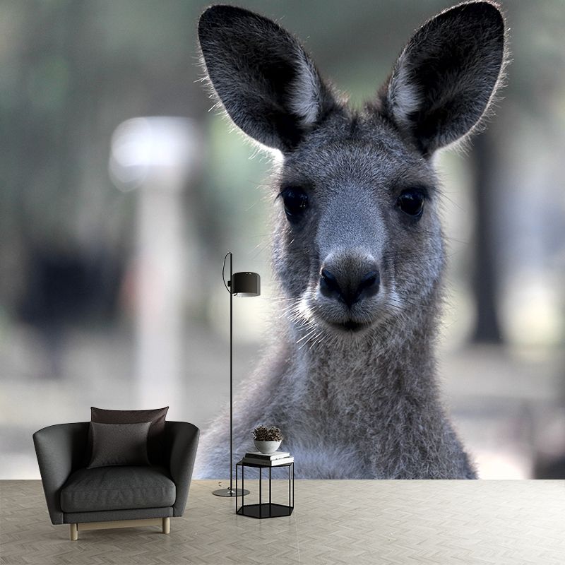 Clever Kangaroo Mural Decal Water Resistant Wall Decor for Living Room