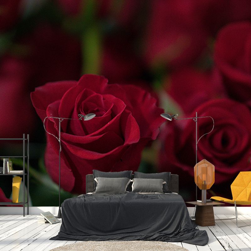 Photography Wall Mural Wallpaper Elegant Rose Sitting Room Wall Mural