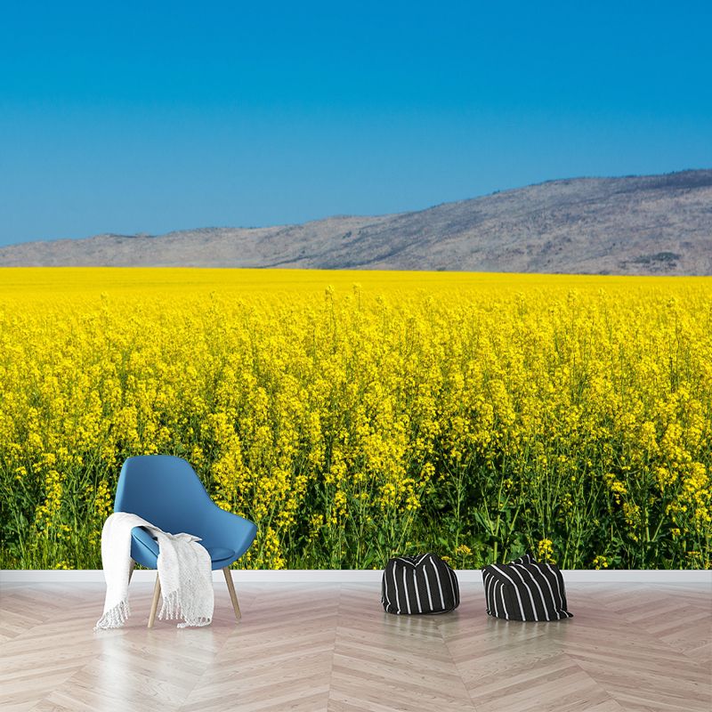 Customized Rape Blossoms Wall Mural Decal Moisture Resistant Wall Decor