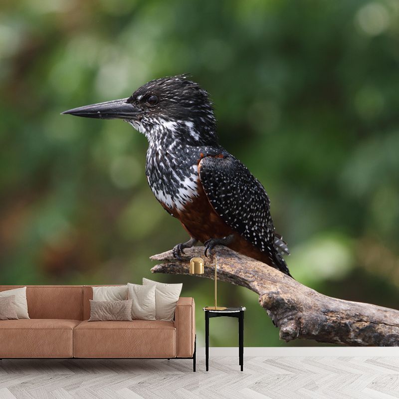 Kingfisher Mural Environment Friendly Wallpaper for Sleeping Room Bedroom