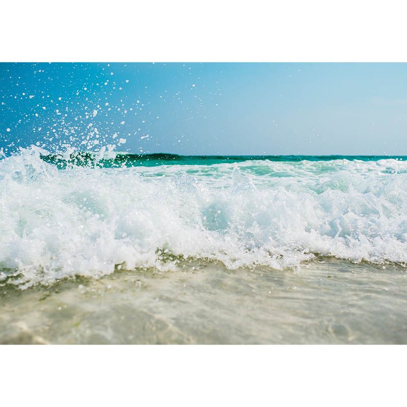 Peel and Stick Wall Mural Tropical Sea Pattern Photography Living Room Decorative