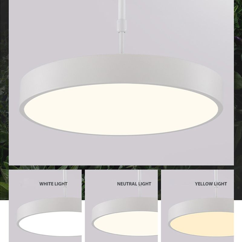 Modern Minimalist Office LED Hanging Lamp Wrought Iron Circular Pendant Light with Acrylic Shade