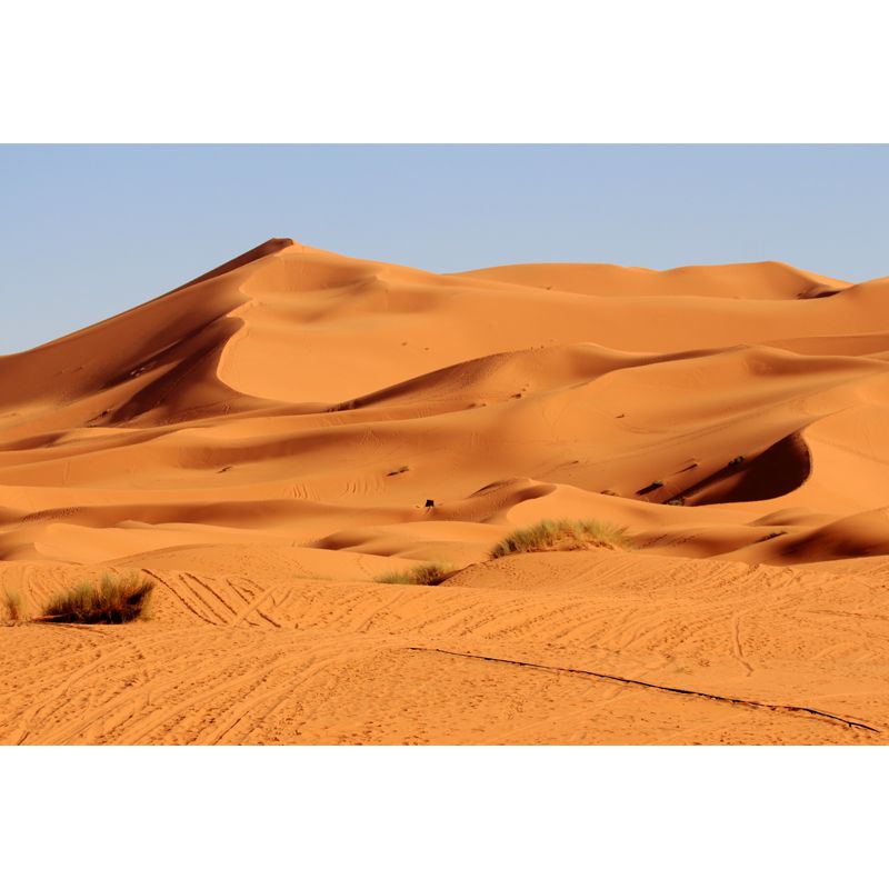 Contemporary Dune Landscape Wall Mural Yellow Living Room Wall Covering, Made to Measure