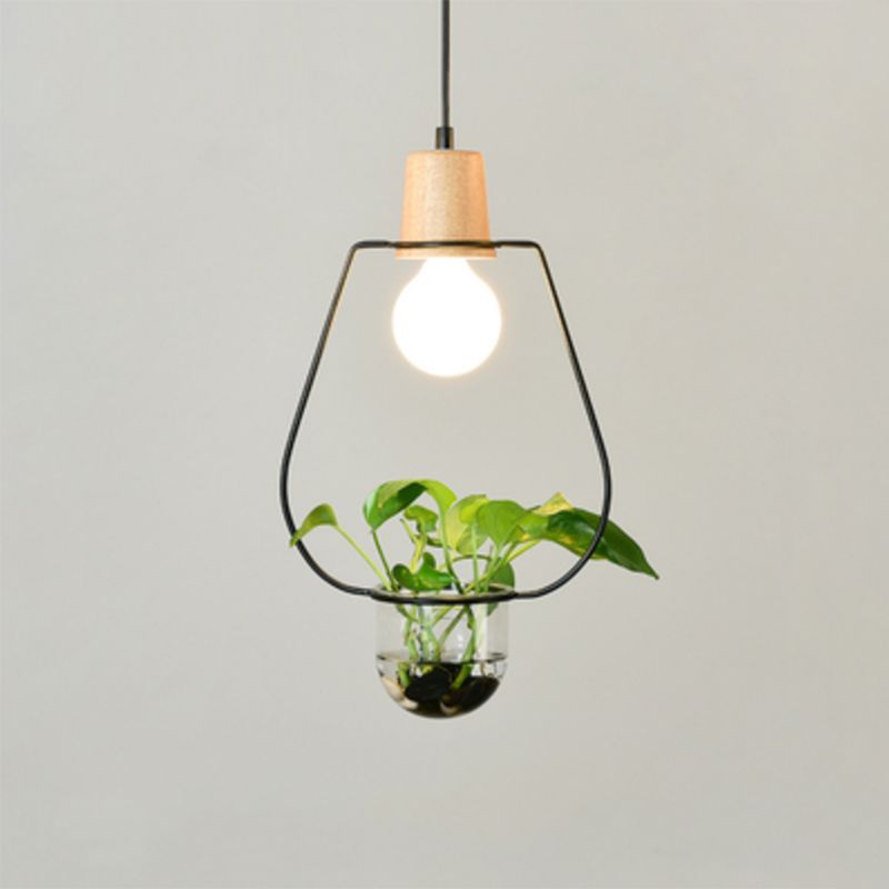 Planter Hanging Lamp Contemporary Clear Glass 1-Light Study Room Lighting Pendant