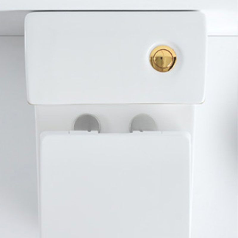 Siphon Jet Toilet Traditional One-Piece Toilet with Slow Close Seat