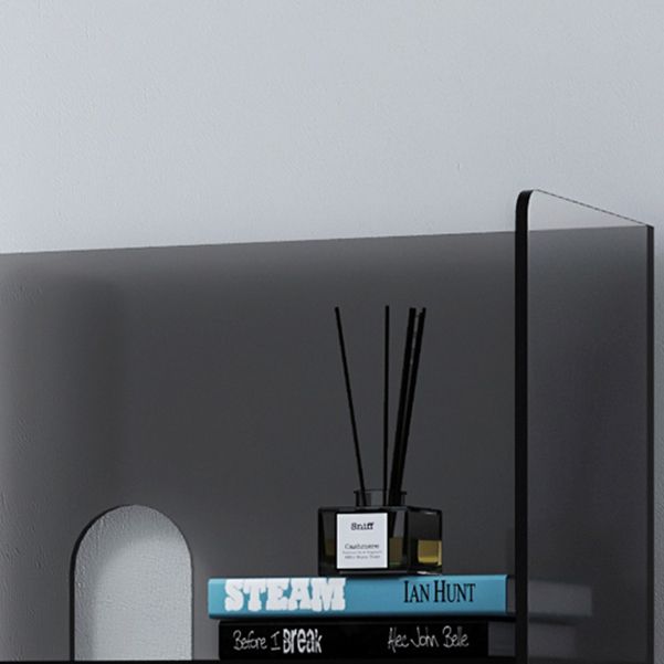 Modern Style Closed Back Bookshelf Acrylic Bookcase for Living Room