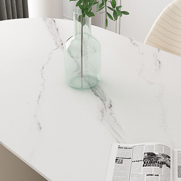 Metal Traditional Luxury Freeform Table Sintered Stone Table with Double Pedestal