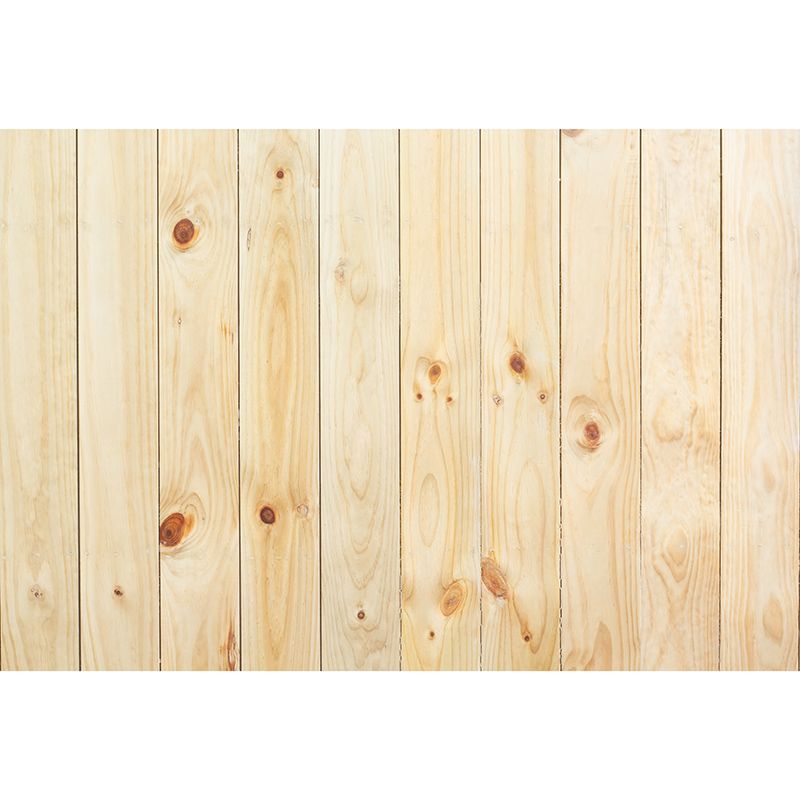 Washable Stain Resistant Mural Wallpaper Wood Grain Indoor Wall Mural