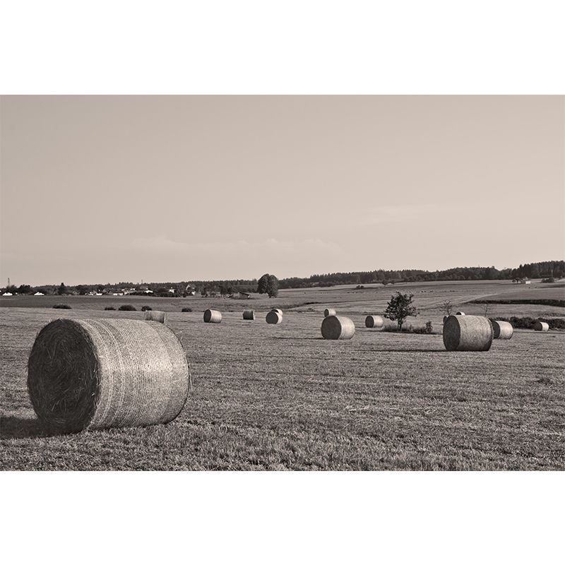 Customized Straw Bales Mural Environment Friendly Wallpaper for Decoration