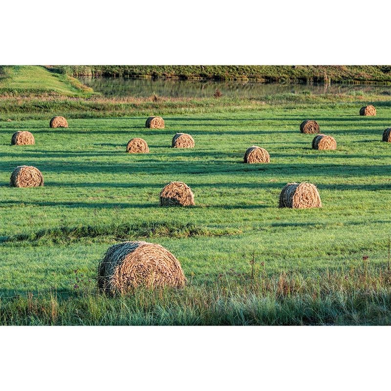 Customized Straw Bale Landscapes Mural Environment Friendly for Sleeping Room