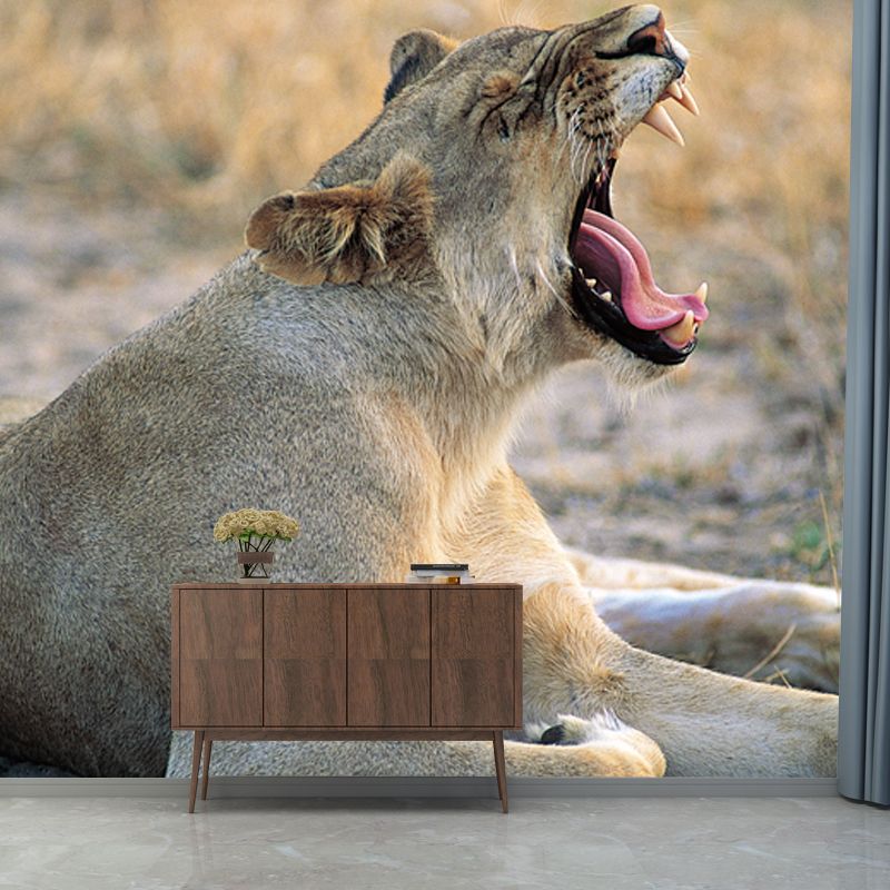 Brown Wild Animal Wallpaper Mural Lion Giving A Big Yawn Modern Washable Wall Decor