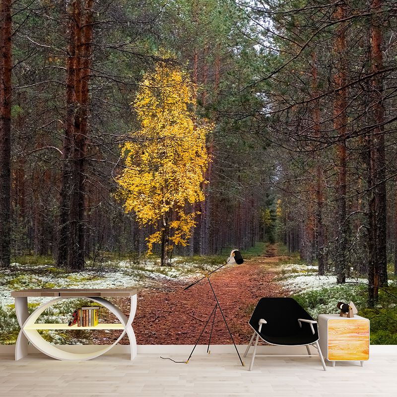 Forest Mural Wallpaper Full Size Stain-Resistant Living Room Home Decor