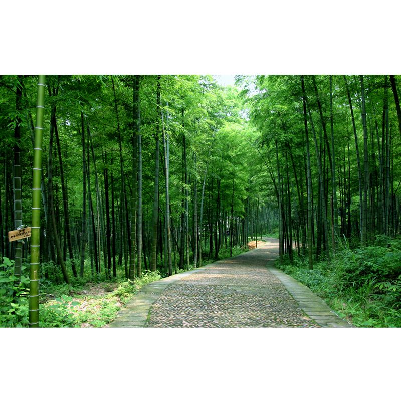 Path to Bamboo Forest Mural Green Modern Style Wall Covering for Home, Personalized Size