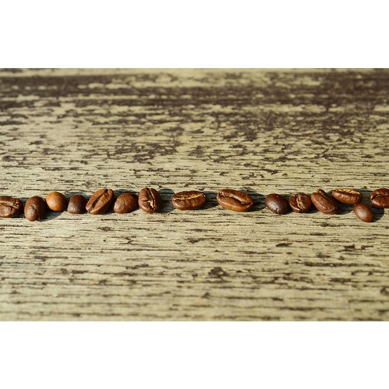 Simplicity Coffee Beans Mural Decal Decorative Mildew Resistant for Decoration