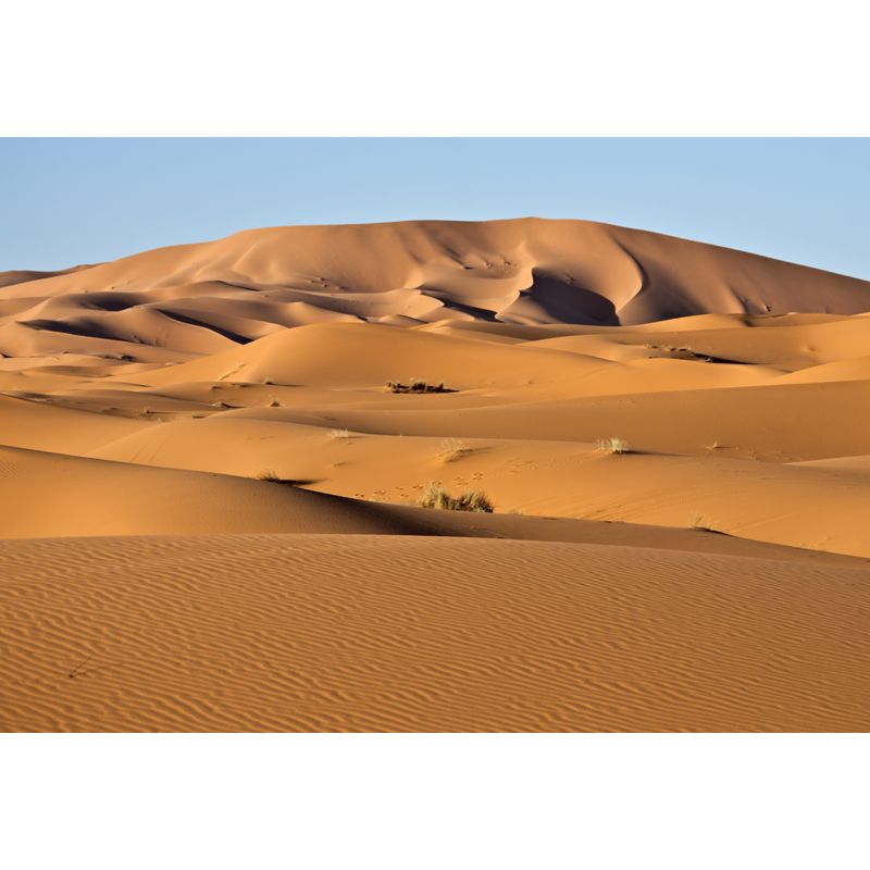 Yellow Natural Landscape Mural Grass and Sand Desert Scenery Modern Water-Proof Wall Covering