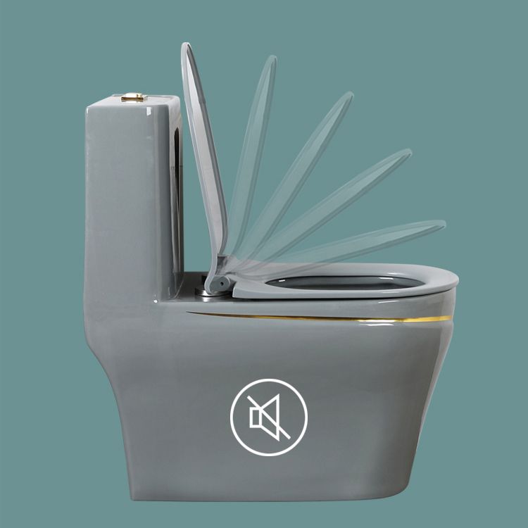 Traditional Floor Mounted Urine Toilet Siphon Jet Toilet Bowl with Toilet Seat