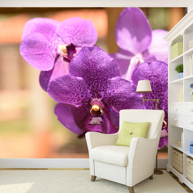Cymbidium Photo Mural Decal Modern Wall Decor for Sleeping Room, Waterproofing