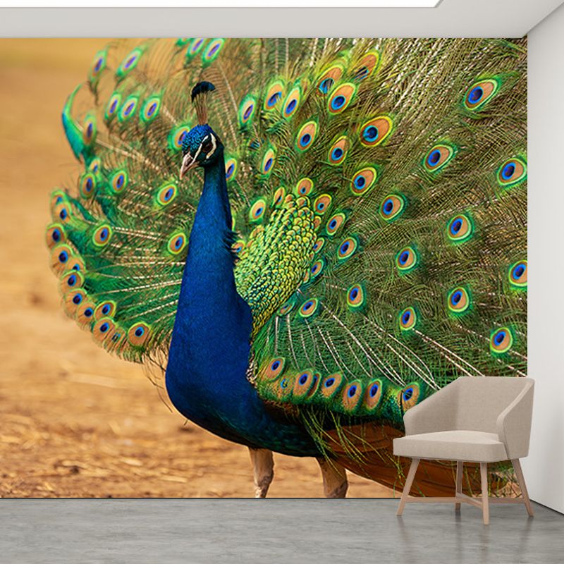Decorative Blue Peacock Wall Murals Personalised Size Modern Wall Covering for Bedroom