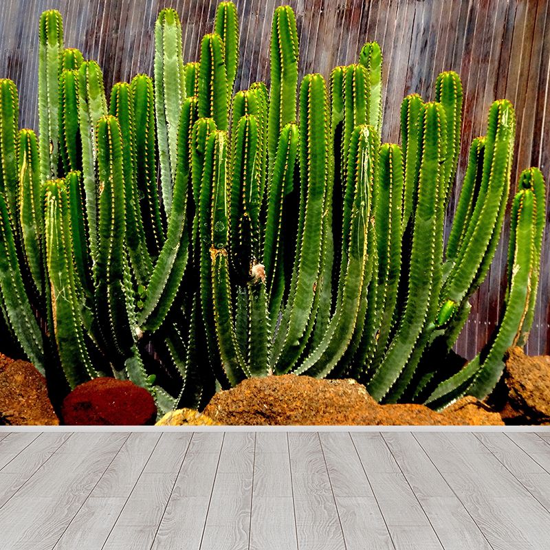 Fashionable Wall Mural Cactus Printed Drawing Room Wall Mural