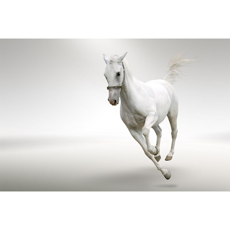 Pastel Color Running Horse Mural Wallpaper Animals Contemporary Stain-Proof Wall Art