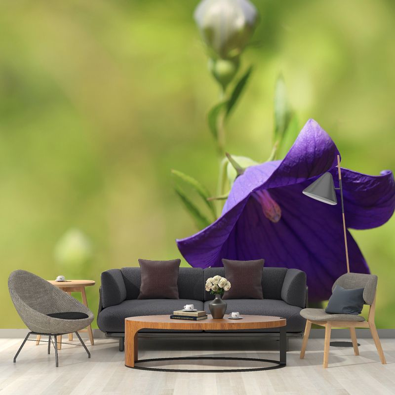 Minimalism Style Bellflower Wall Mural Decorative Photography for Living Room