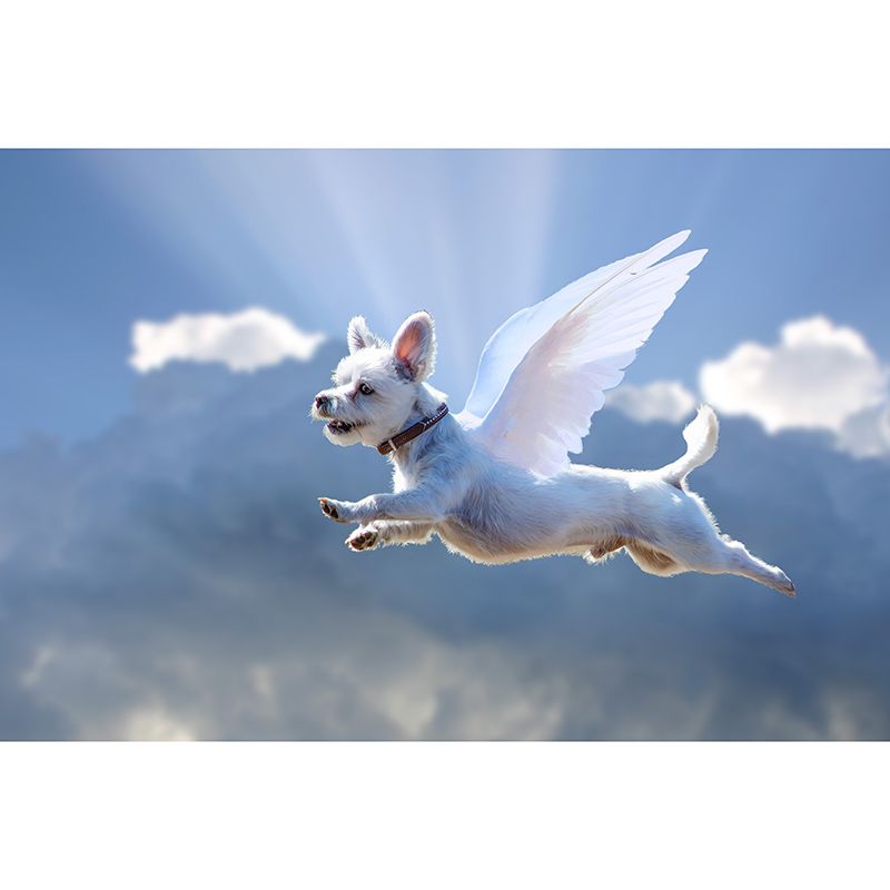 Decorative Photography Mural Wallpaper Cute Dogs Indoor Wall Mural