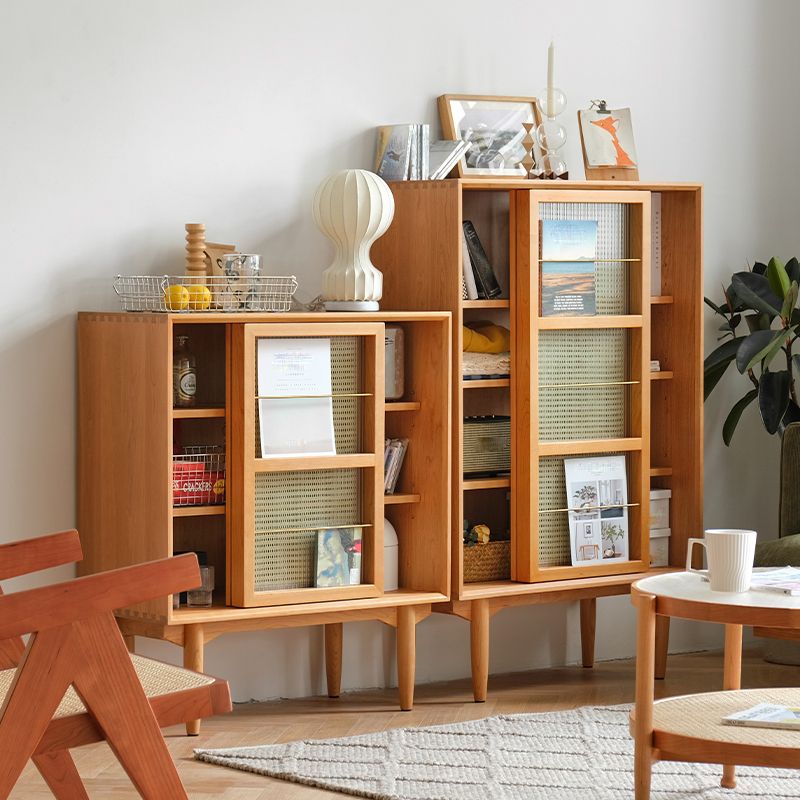Closed Back Bookshelf Solid Wood Contemporary Bookcase with Doors