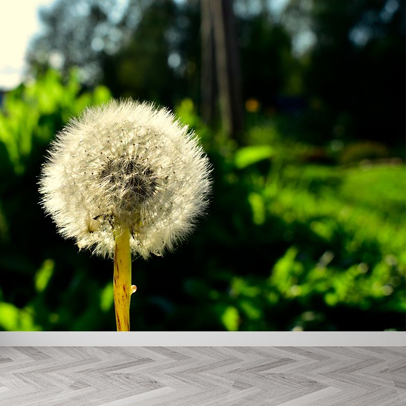 Modernism White Plant Mural Wallpaper Water Resistant, Made to Measure